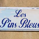 Les Pins Bleus A8 アパート *