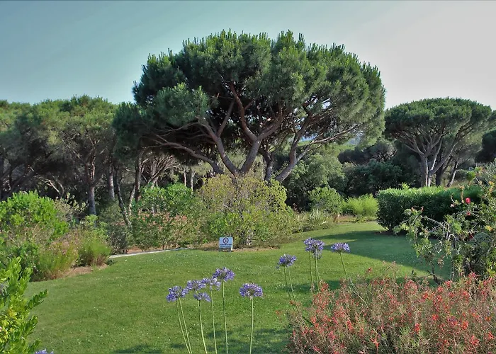 Appartement Les Pins Bleus A8 *
